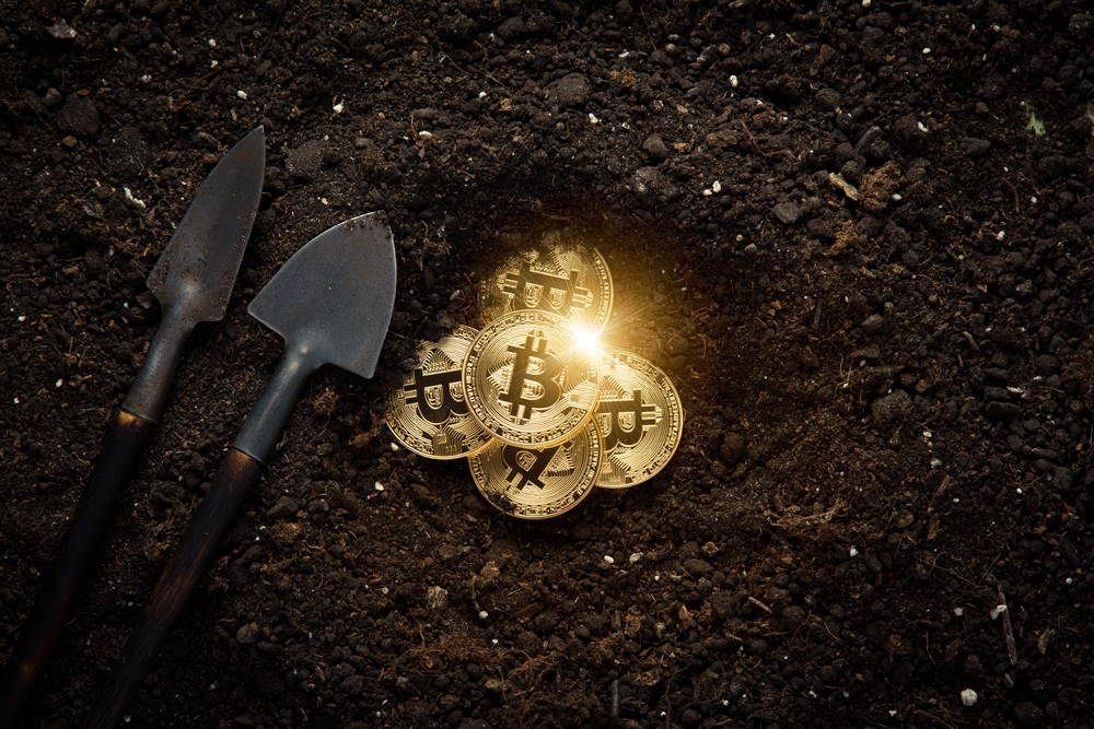 What is the Potential Profit from Cryptocurrency Mining?